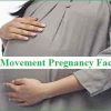 Baby Movement Pregnancy Facts